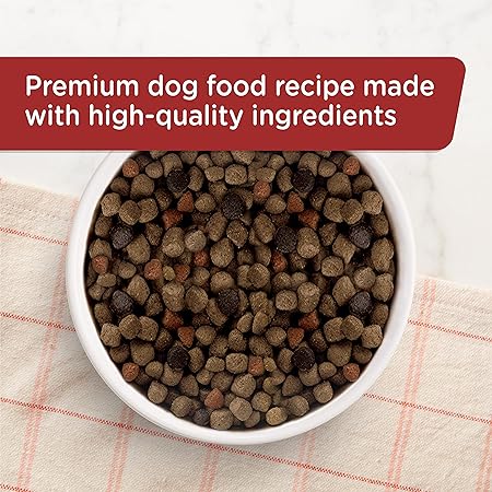 Natural Dry Dog Food